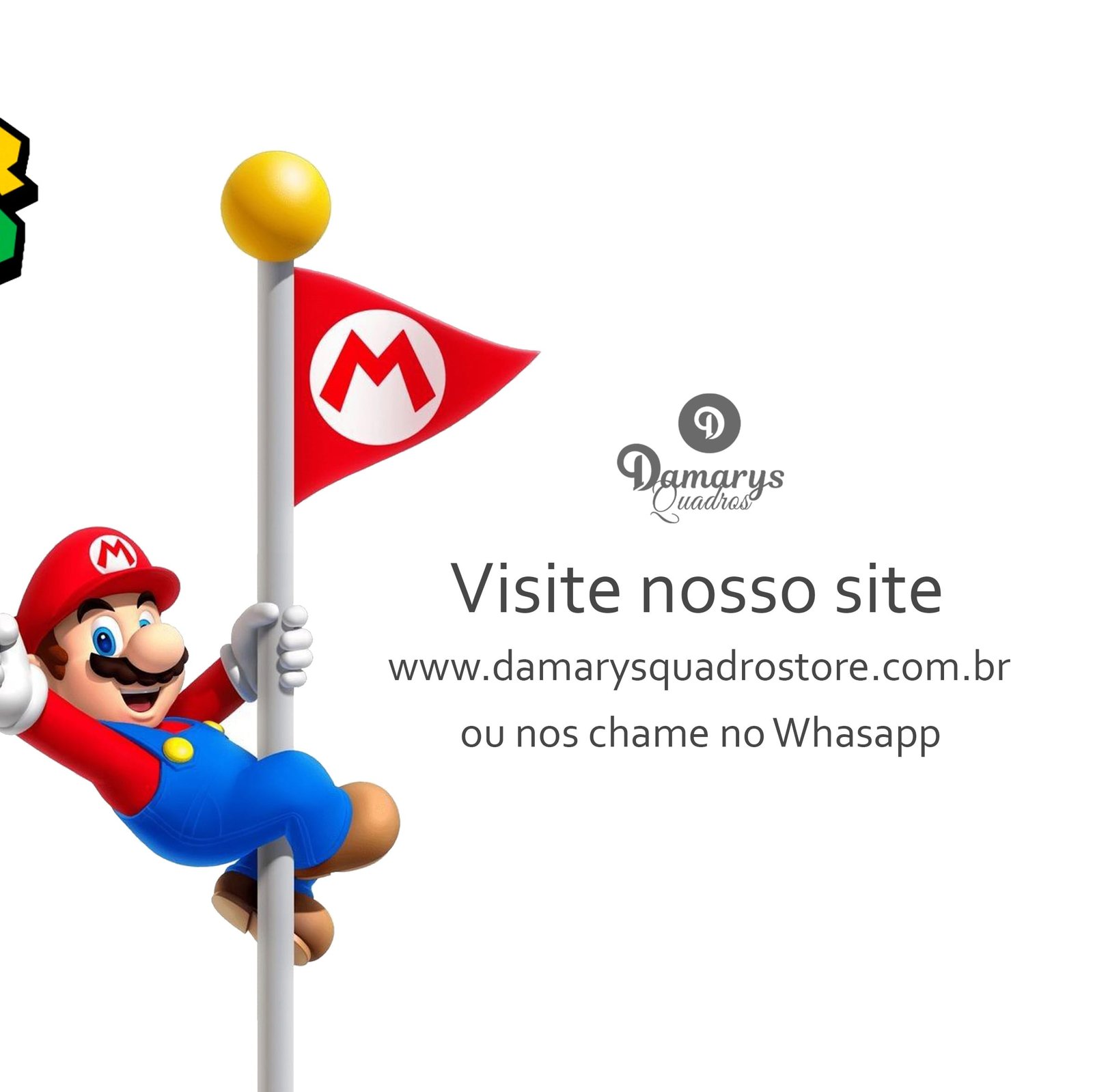 12 06 Damarys Quadros Store